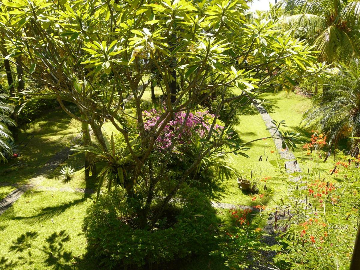 Bali Sandat Tejakula Exterior foto