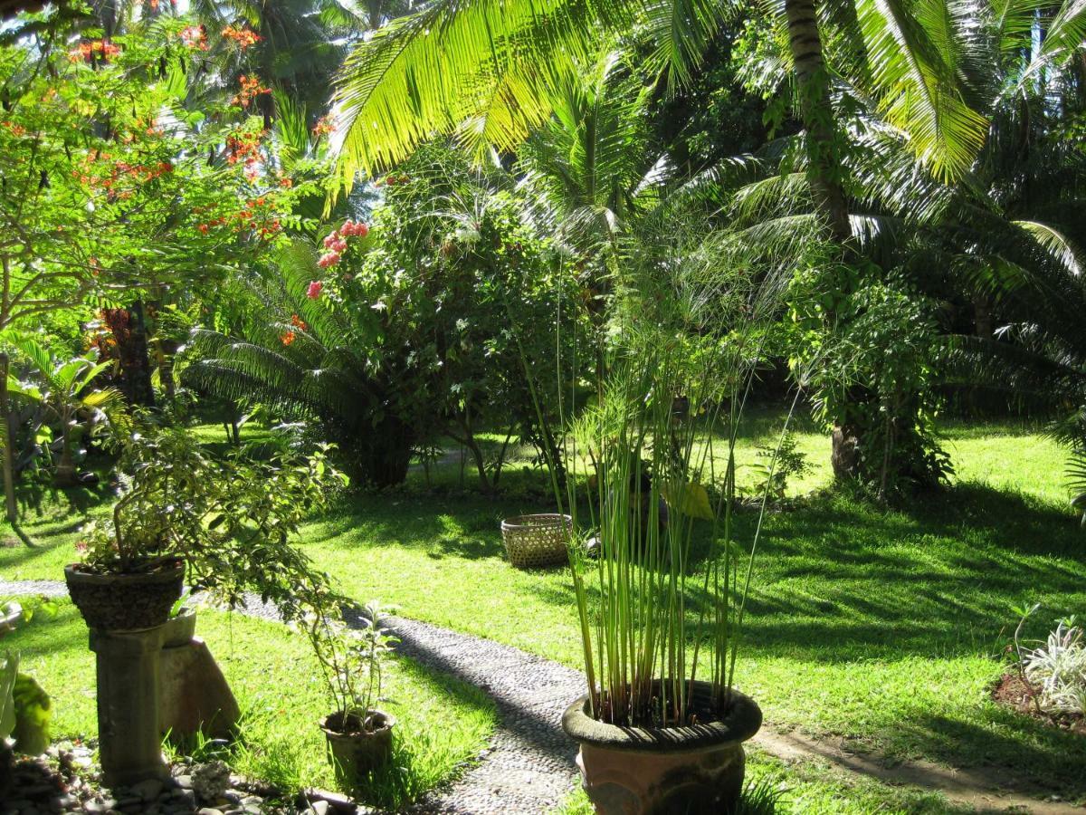 Bali Sandat Tejakula Exterior foto